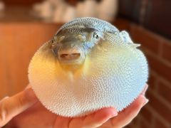 -永安鱼庄·镇江菜(丁卯店)