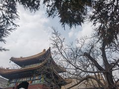 -雍和宫