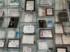 -泰康拜博口腔·二级专科医院(种植·正畸·修复·联合中心)