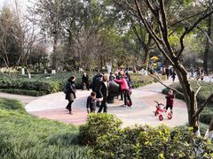 -龙头寺公园