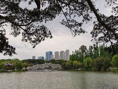 -江心屿景区