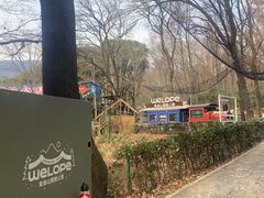 -紫金山山顶公园