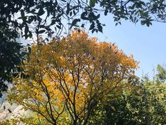 -桂林资江天门山风景区