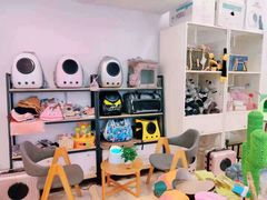 -70cat德文卷毛猫·缅因猫纯种猫舍