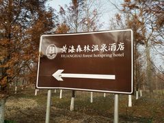 -黄海国家森林公园