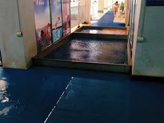 -广西体育中心-游泳馆