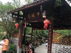 -青城甲(青城山店)