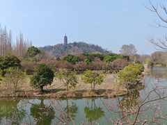 -焦山风景区