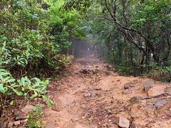 -梧桐山风景名胜区
