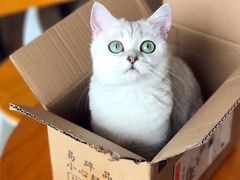 -青春加萌照相馆