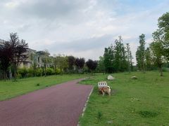 -两河城市森林公园