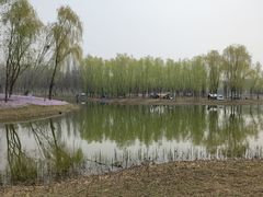 -东郊湿地公园
