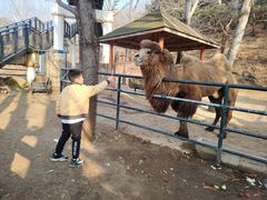 -大连森林动物园