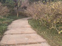 -无锡梅园公园