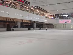 -TheRink大零溜冰场(IFS国金中心店)