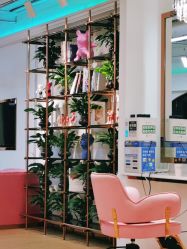 -BULB STUDIO 巴柏明星发型工作室