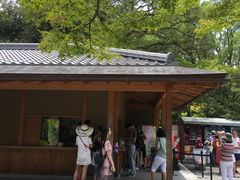 -豆政(金閣寺境内売店)