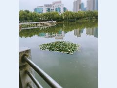 -后襄河公园