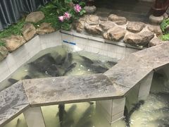 -春盛渔府(牛首山店)
