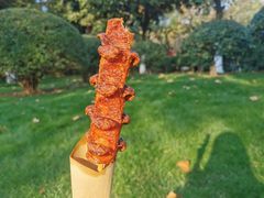 -董顺桃老长沙臭豆腐(步行街店)