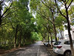 -上海海事大学(临港校区)