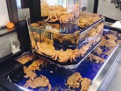 -蟹道乐(道顿堀本店)