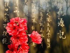 -桃花涧
