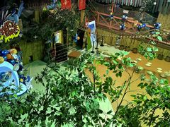 -萌宠奇缘(荣鼎店)