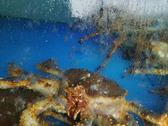 -蟹后Crabber(水悦城店)