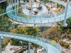-广东天露山旅游度假区