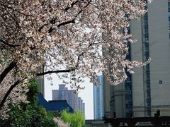 -木塔寺遗址生态公园