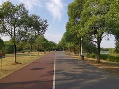 -艾溪湖湿地公园