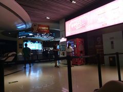 -奥斯卡升龙国际影城(RealD Cinema)