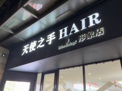点击看大图 -天使之手