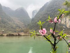 -靖西鹅泉风景区