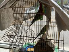 -草原塞蛮羊火锅城(港湾店)