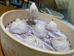 鲜肉小笼-苏小柳手工点心(人民广场分院)