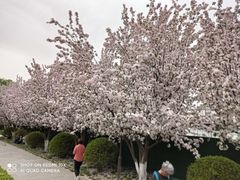 -元大都城垣遗址公园