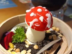 -菌彩云南野生菌火锅(万达广场店)