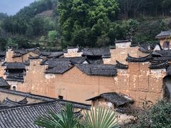 -杨家堂村