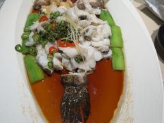 -侨美食家·粤菜(体育西路店)