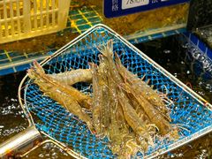 -东海怡品海鲜豆捞(舟宿夜江店)