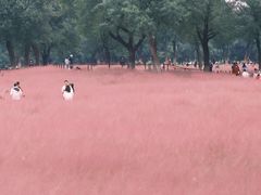 -汉长安城未央宫国家考古遗址公园