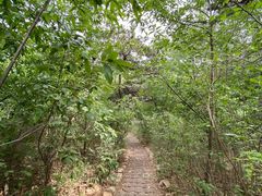 -北京西山国家森林公园