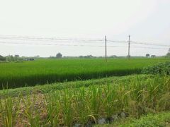 android_upload_pic-丫丫蟹庄·苏式园林农家乐·阳澄湖大闸蟹(阳澄湖莲花岛店)