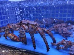 -徐记海鲜(梅溪新天地店)