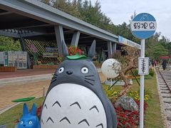 -野狸岛