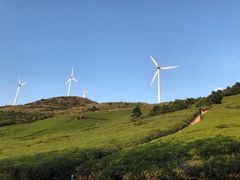 -东白山