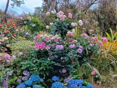 -人民公园(罗湖区)