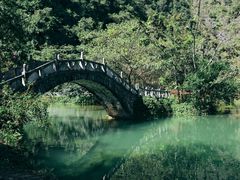 -靖西鹅泉风景区